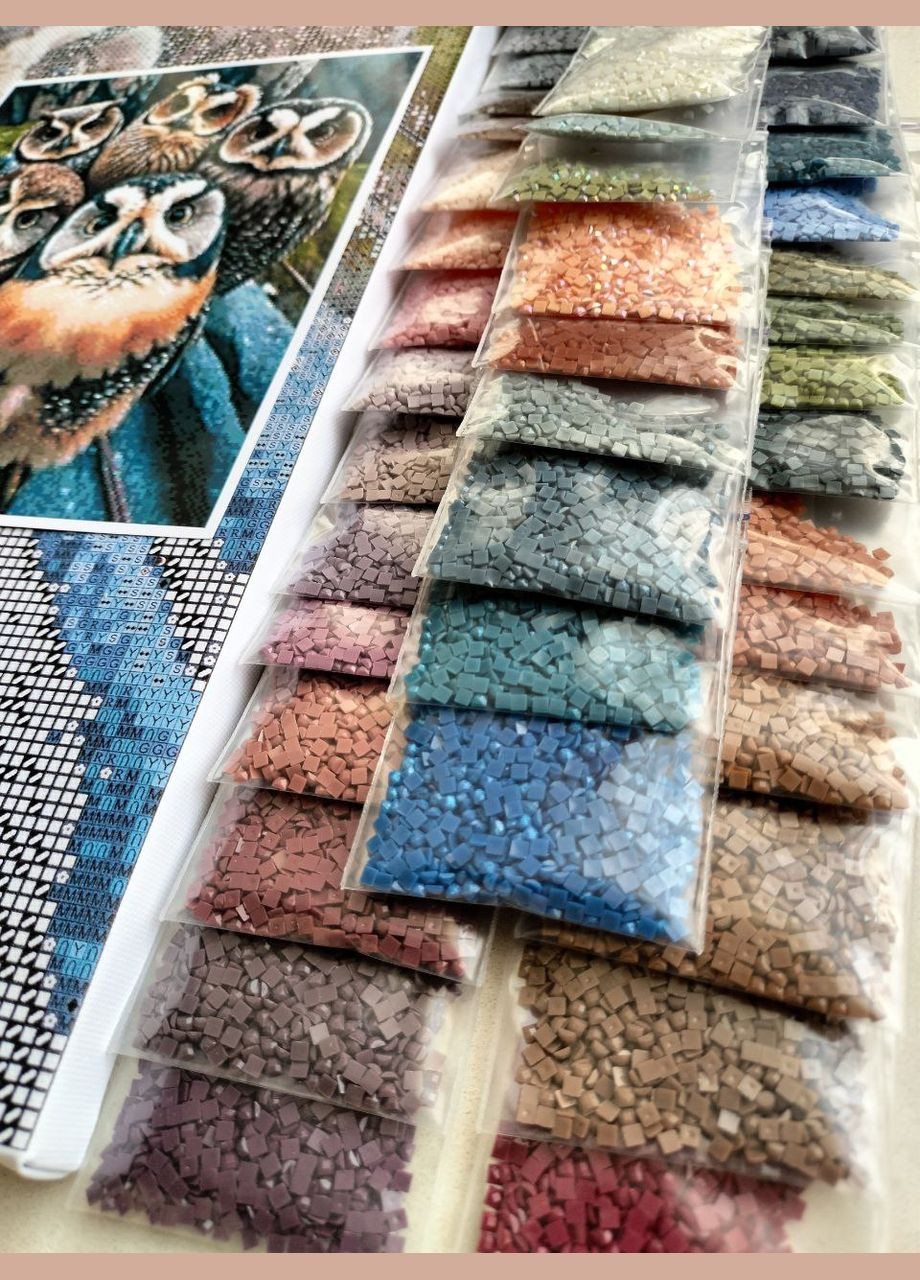 Набір алмазної мозаїки НА підрамнику АЛМр-224 "Сови Селфі", 40*50см АлМазка (335056485)