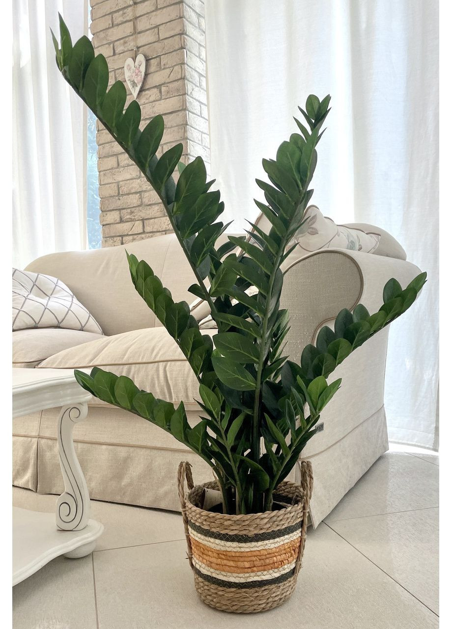 Заміокулькас SGH штучний в горщику 115 см HVOYA (370439116)