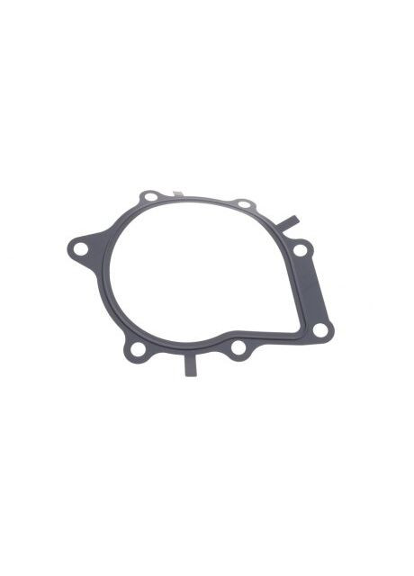 Насос воды Citroen Jumper/Peugeot Expert 2.0 BlueHDi 15 P807 RU63 HEPU (366136664)