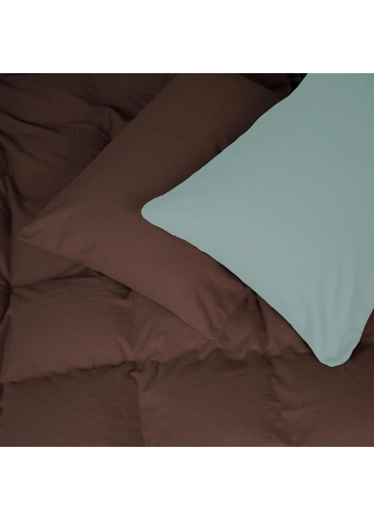 Постельное белье 006-003 Menthol/Brown Фланель 2 x 160 x 220 (m502856) Mirson 006-003 Menthol/Brown Фланель 2 x 160 x 220 Сімейн (369020303)