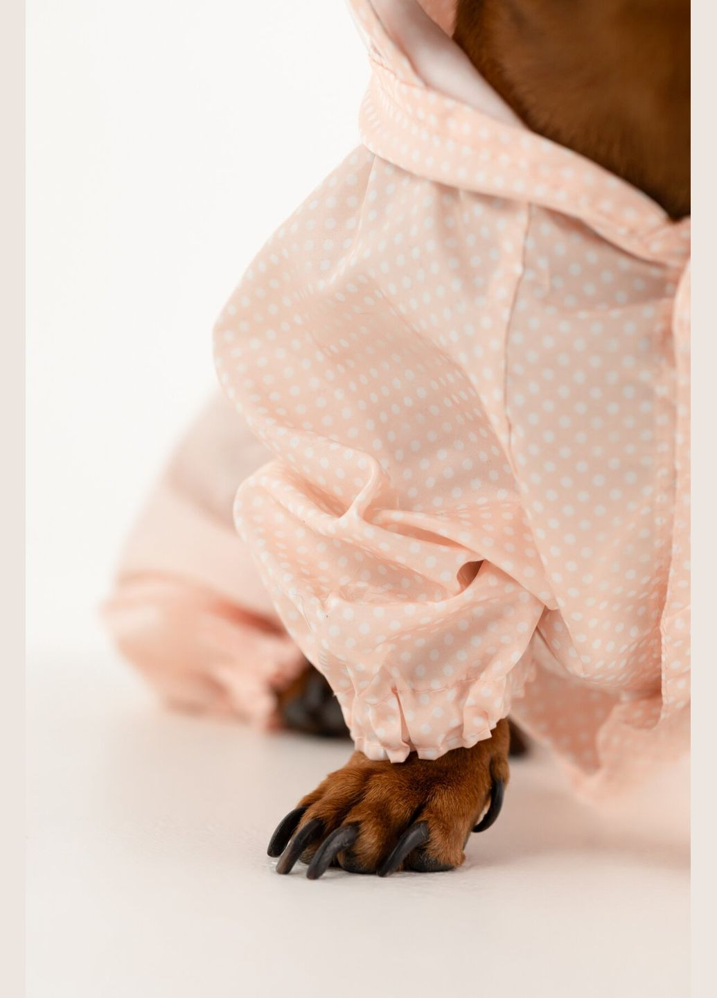 Комбинезон для животных KM52621 Розовый (2002014440528D) shop (2002014440528) KUMAOCHONGWUYONGPIN (363829761)