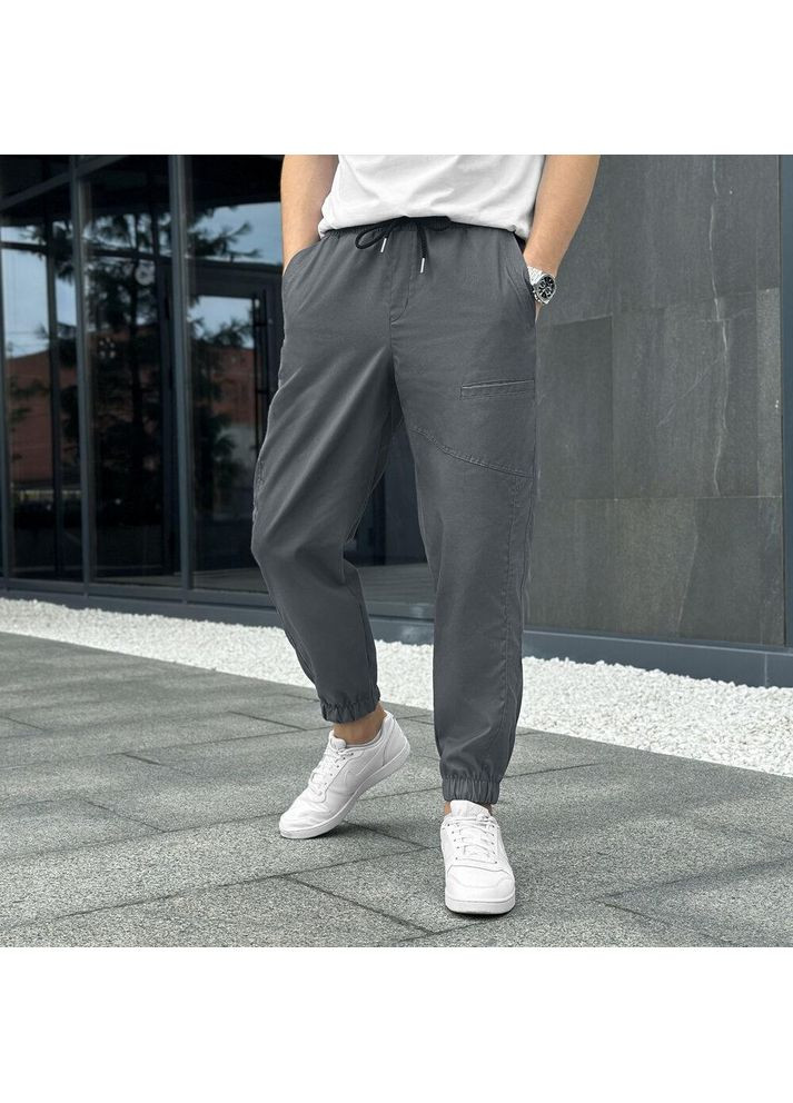 Серые повседневный демисезонные брюки Freedom