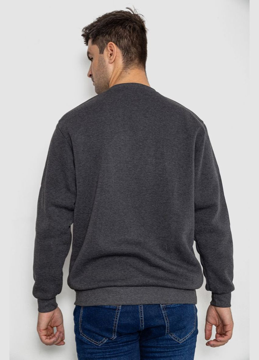 Батник мужской на флисе 244R2556 Ager (304299969)