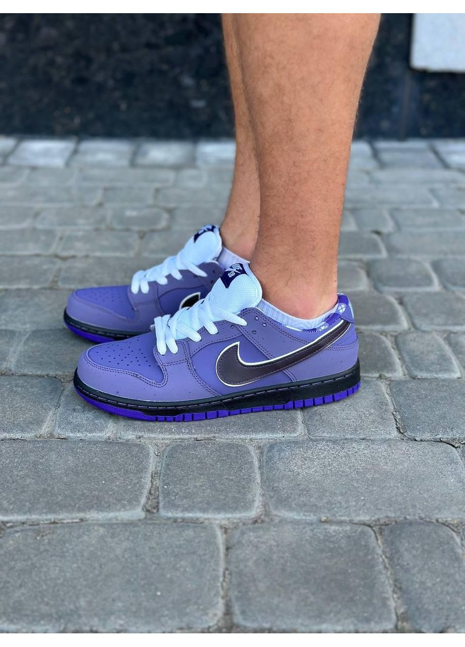 Фіолетові Осінні кросівки чоловічі nike sb dunk low concepts purple lobster найк сб данк No Brand