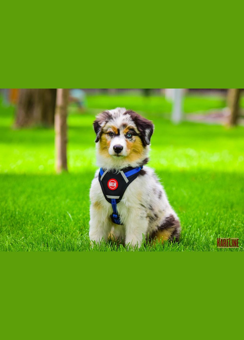 Шлей из нейлона со светоотражающей нитью и пластиковой пряжкой 15 мм А:320-420 мм, В:400-500 мм Kareline (339075071)