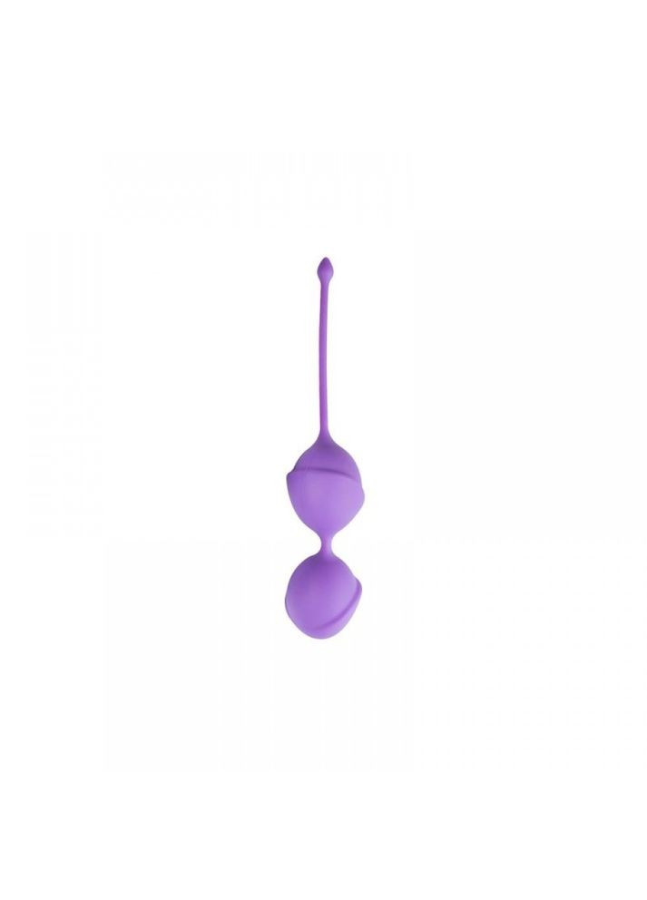 Вагинальные шарики двойные Purple Double Vagina Balls EasyToys (331168540)