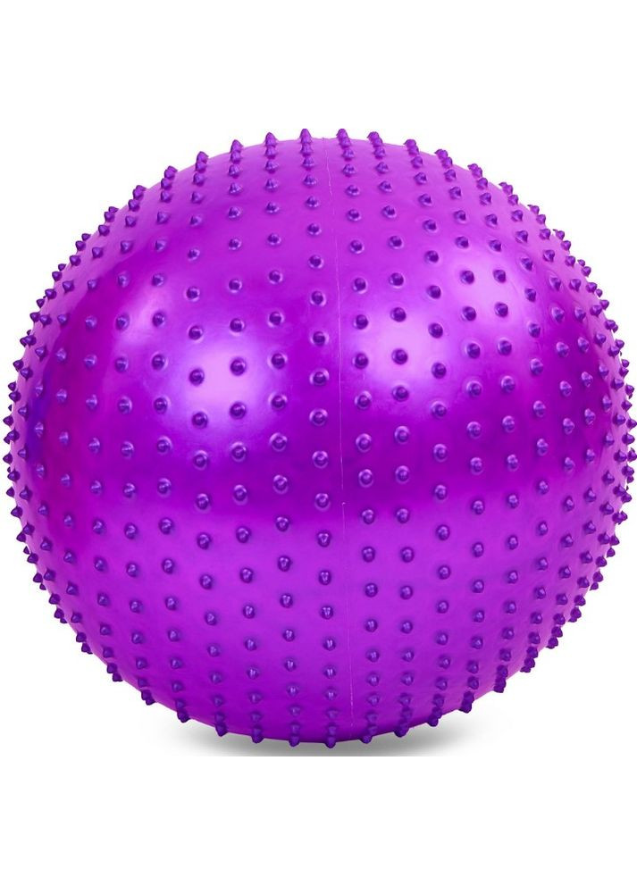 Фітбол м'яч для фітнесу масажний Фіолетовий (діаметр 65 см) FI-1987-65-03 Zelart (367617482)