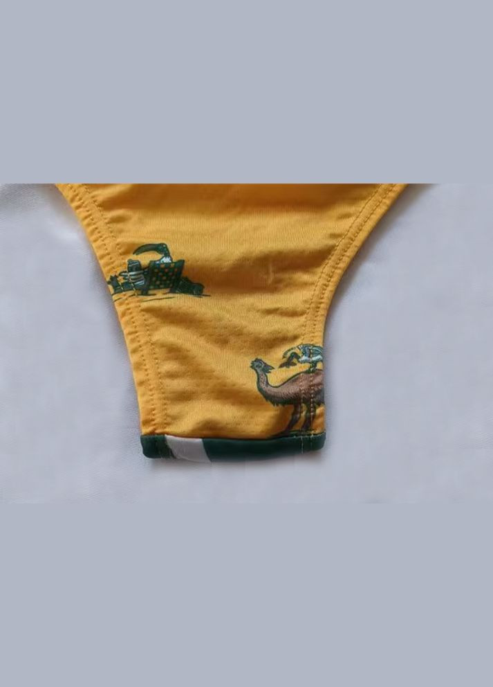 Трусы-американки женские с коалой желтые с зеленым /US16 Knobby (322872441)