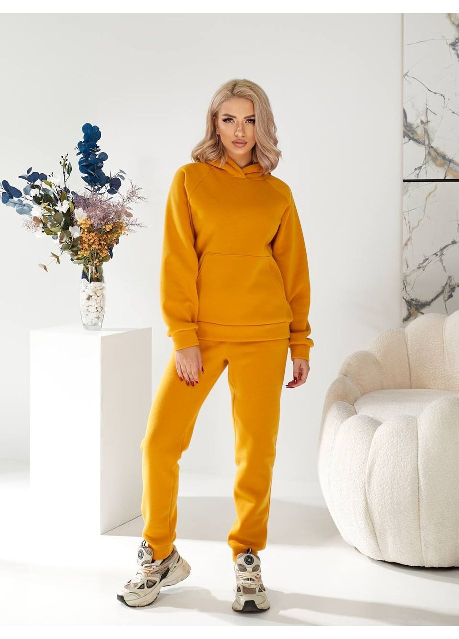 Бюджетный спортивный костюм женский на флисе Україна (366241952)