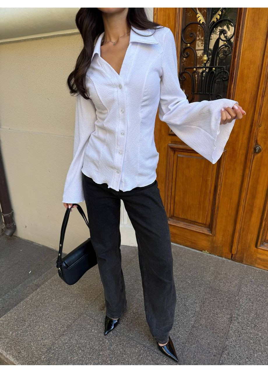 Сорочка з елегантним коміром та приталеним силуетом Україна (358644106)