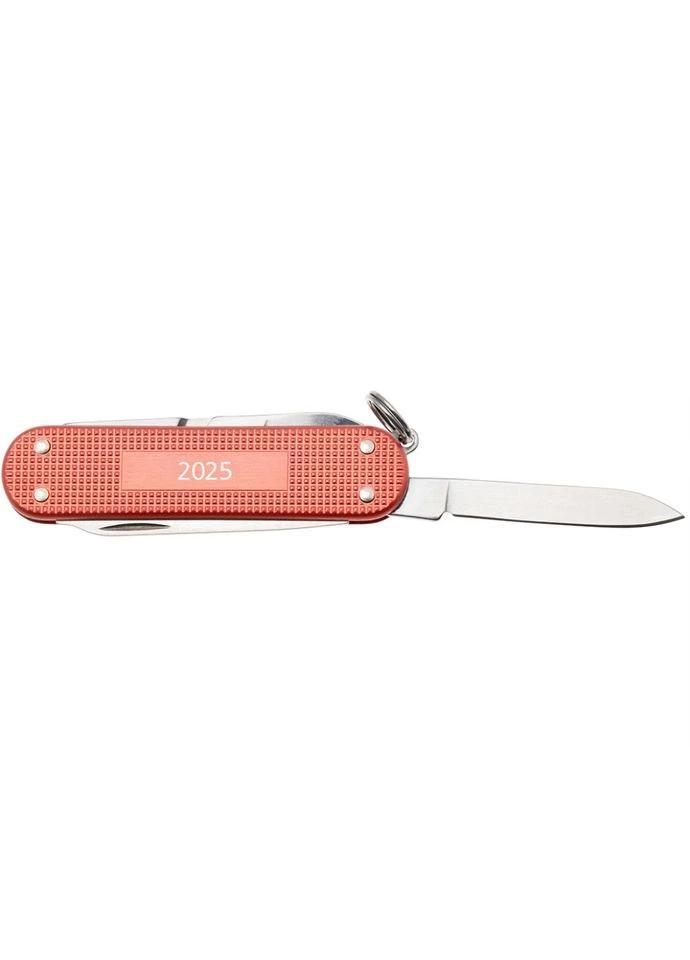 Складной нож CLASSIC SD Stone Red 0.6221.L25 Victorinox (385889714)