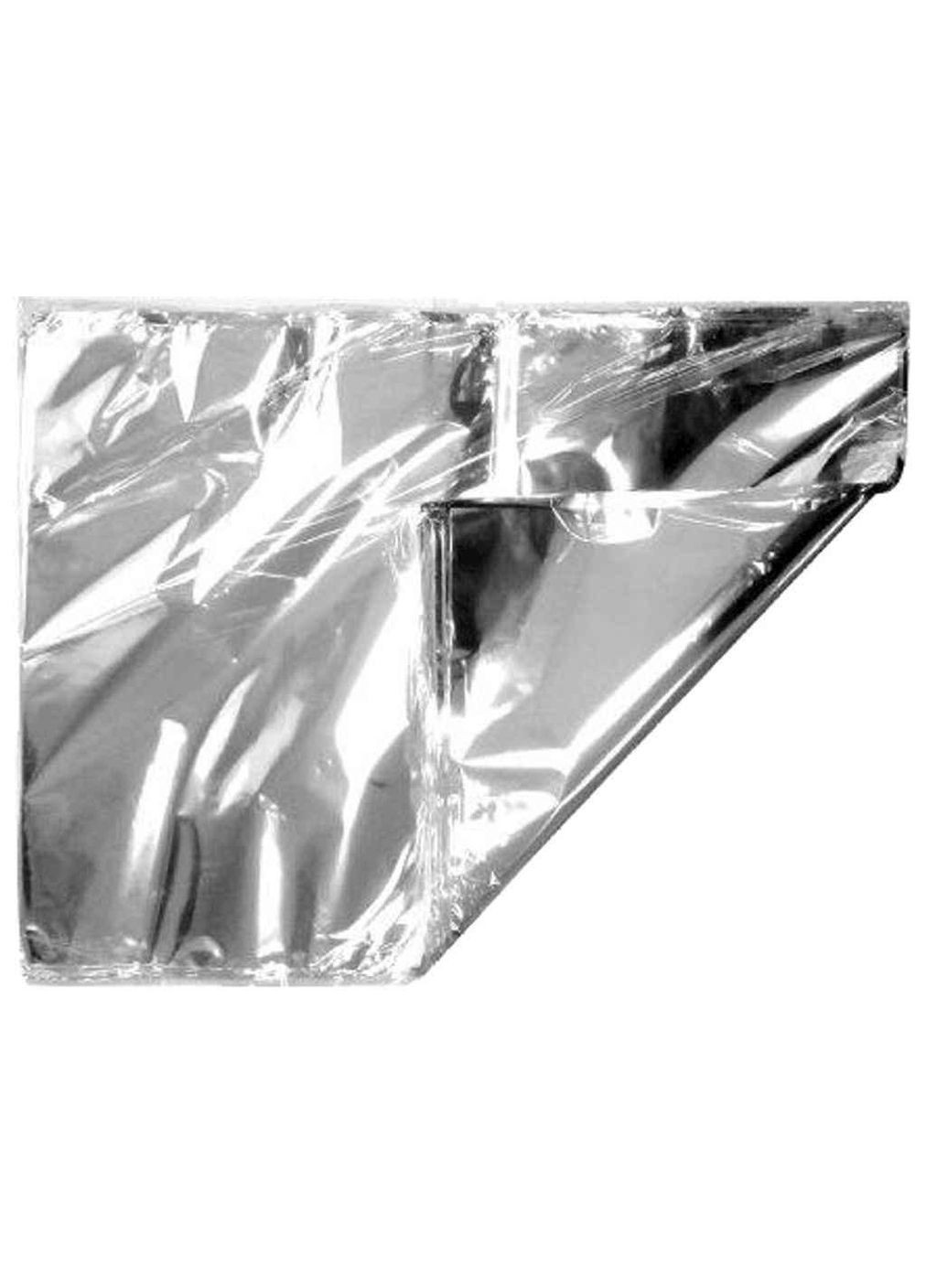 Термопакет 26см*25см з металізованої плівки 650мл 100шт ТМ PRO SERVICE PROservice (311955542)