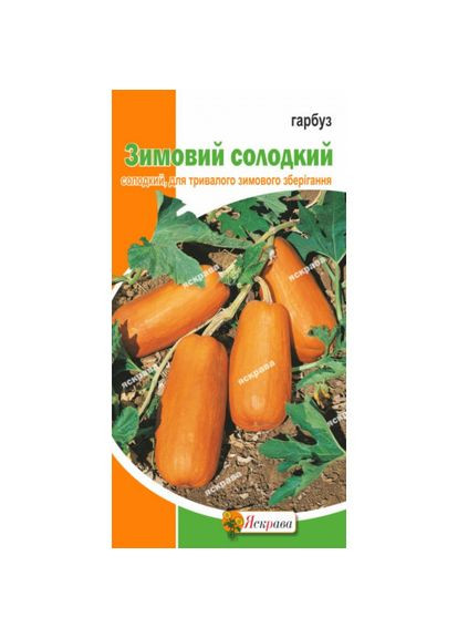 Гарбуз Зимовий солодкий 2г Яскрава Овочі (326807923)