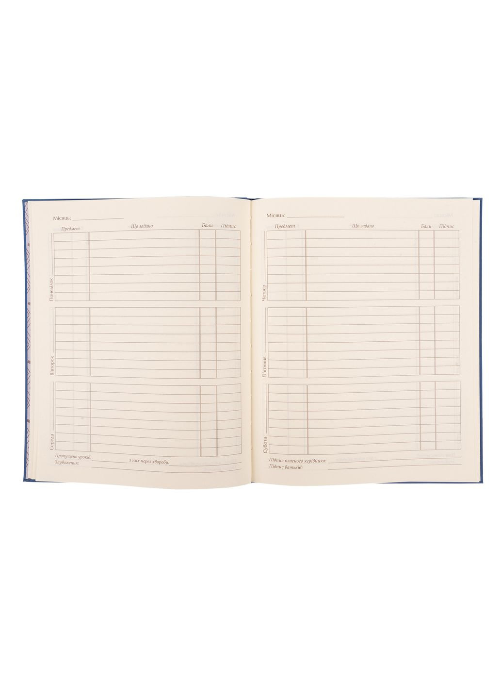 Щоденник шкільний Girl UA A5 Різнокольоровий 40 л (911541) Yes (346484238)