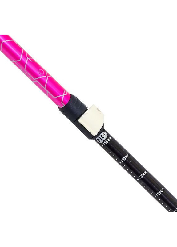 Палка трекінгова для скандинавської ходьби блакитна Exponent TY8019 SP-Sport (367837339)