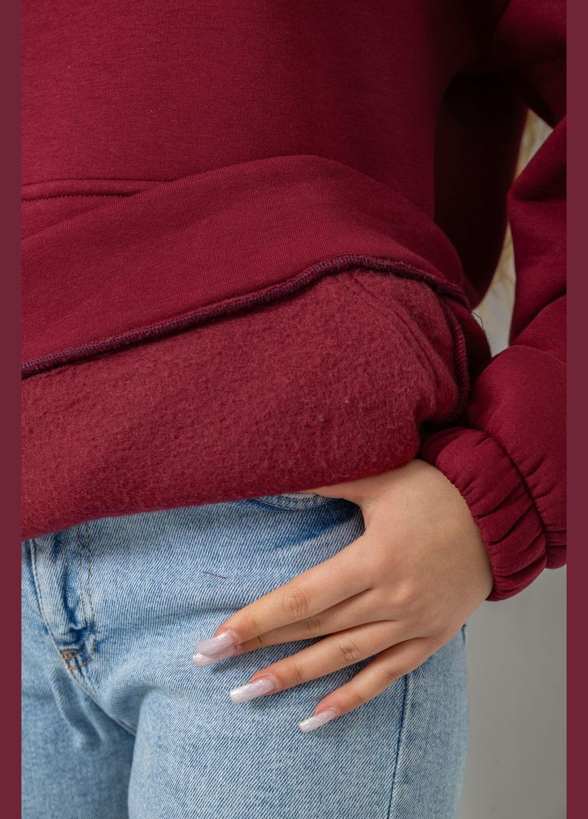 Худі жіноча тринитка на флісі Ager 102R364 (316683572)