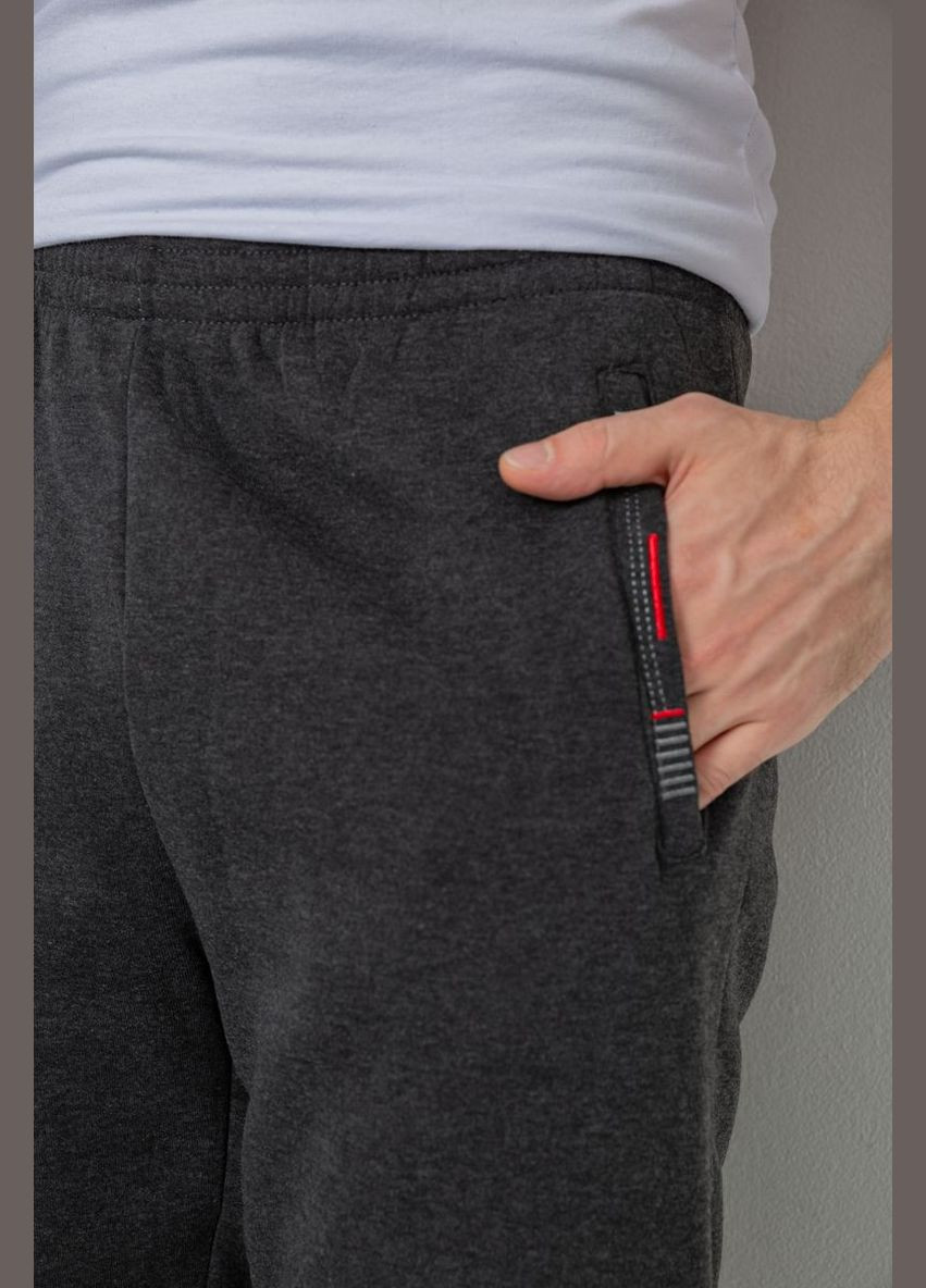 Темно-серые демисезонные брюки Ager