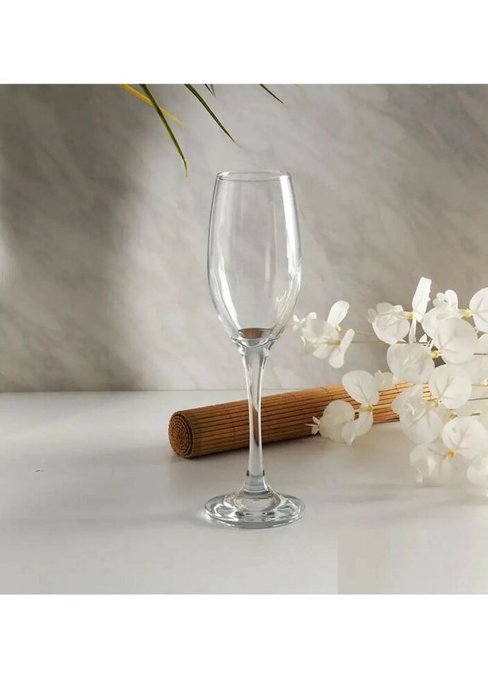 Набір келихів для шампанського Maldive PS-440041-6 6 шт 180 мл Pasabahce (335716349)