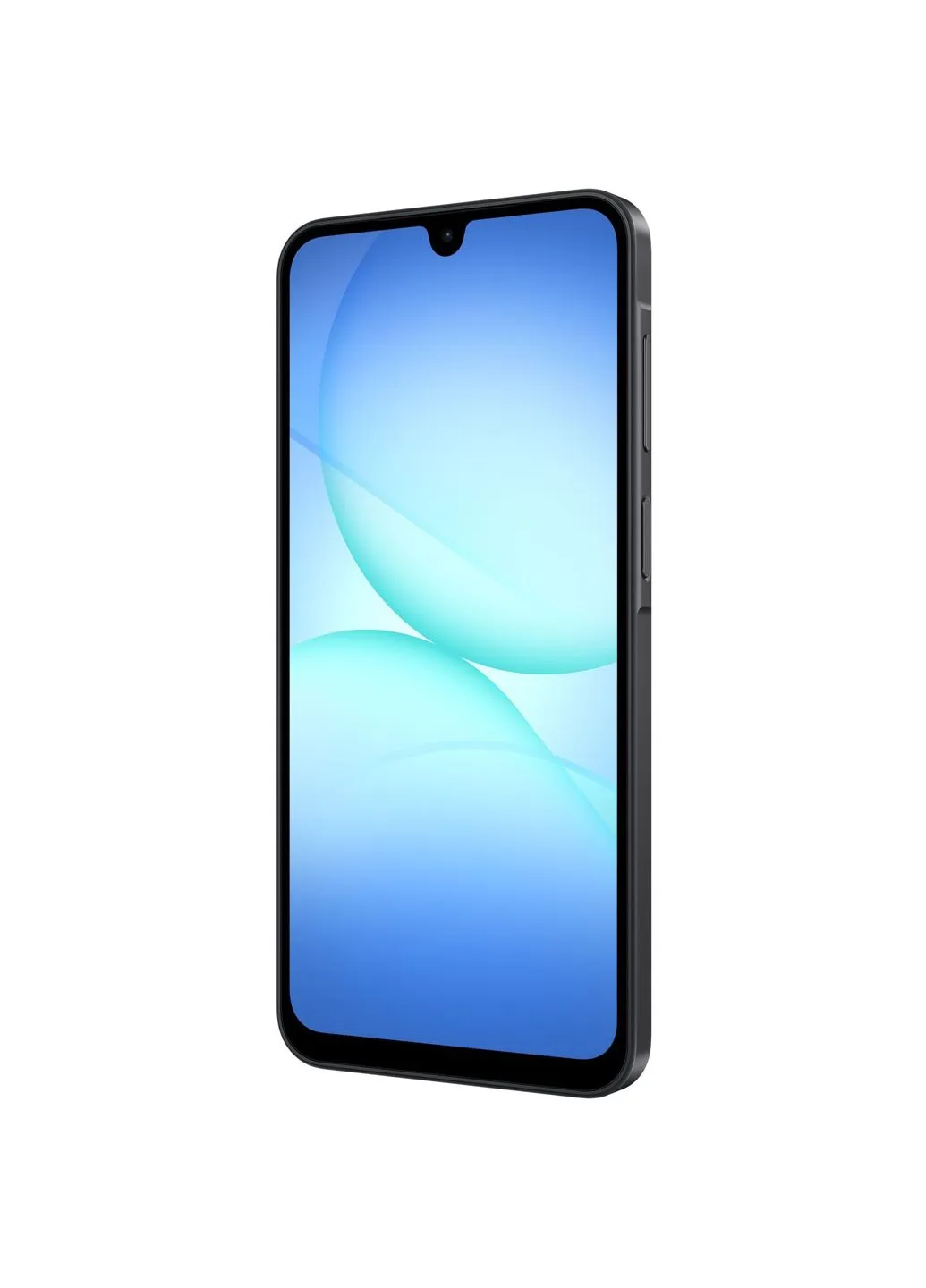Мобільний телефон (SM-A175FZKBEUC) Samsung Galaxy A17 LTE 4/128Gb Black (379533946)