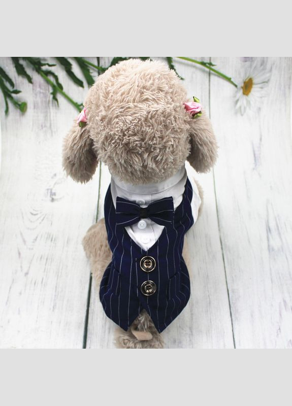 Костюм для котів Pet Style "Джентельмен" Чорнобілий XL No Brand - (323234159)