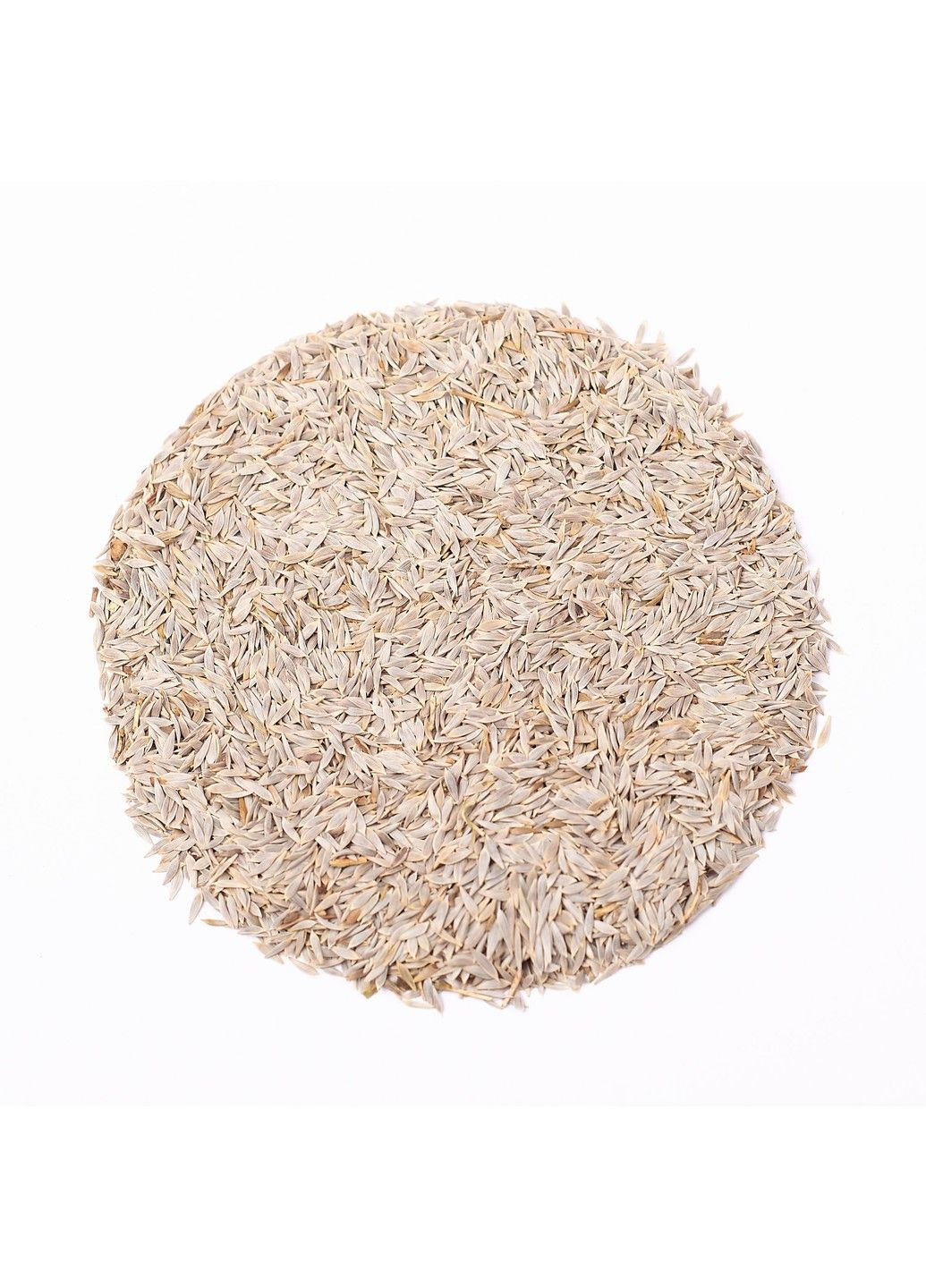 Семена микрозелени Green Chief Салат Латук Чемпион Зелений Шеф (298051360)