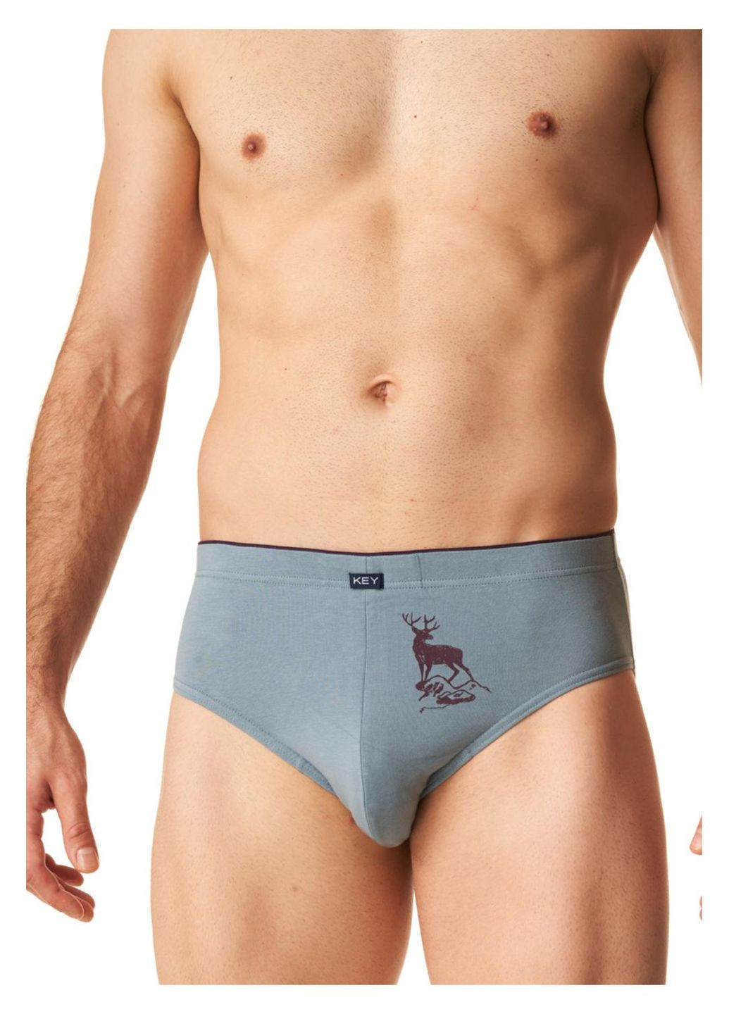 MPP 602 B24 Труси чоловічі (2 шт) (арт MPP 602 B24) Key (305849473)