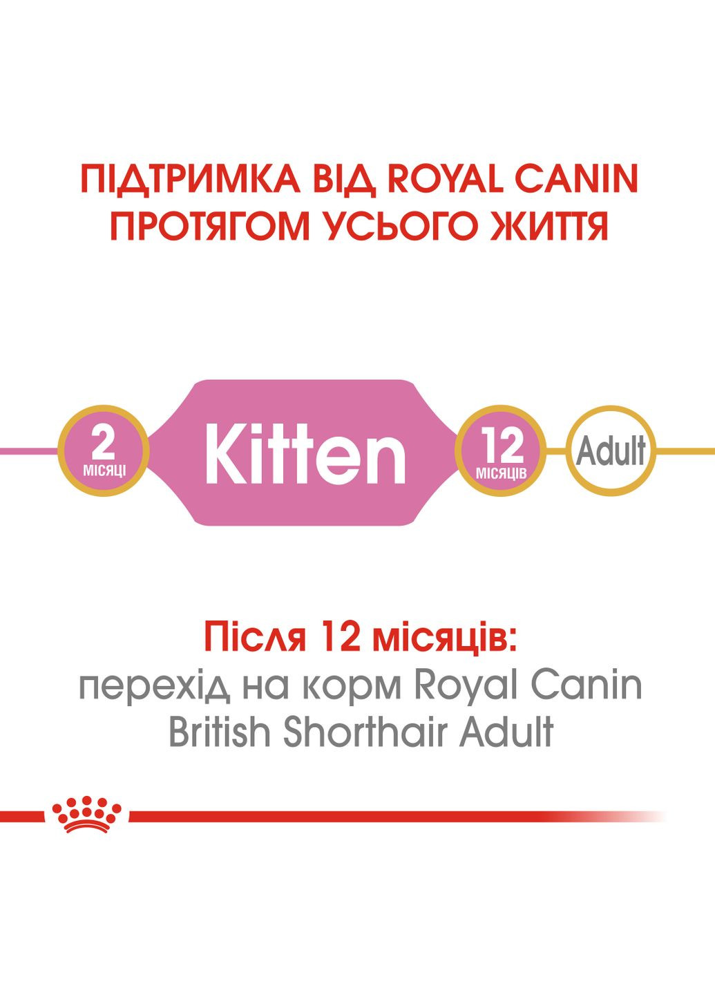 Сухий корм для кошенят Kitten British Shorthair 400 г (3182550816526) (2566004) Royal Canin (279571720)
