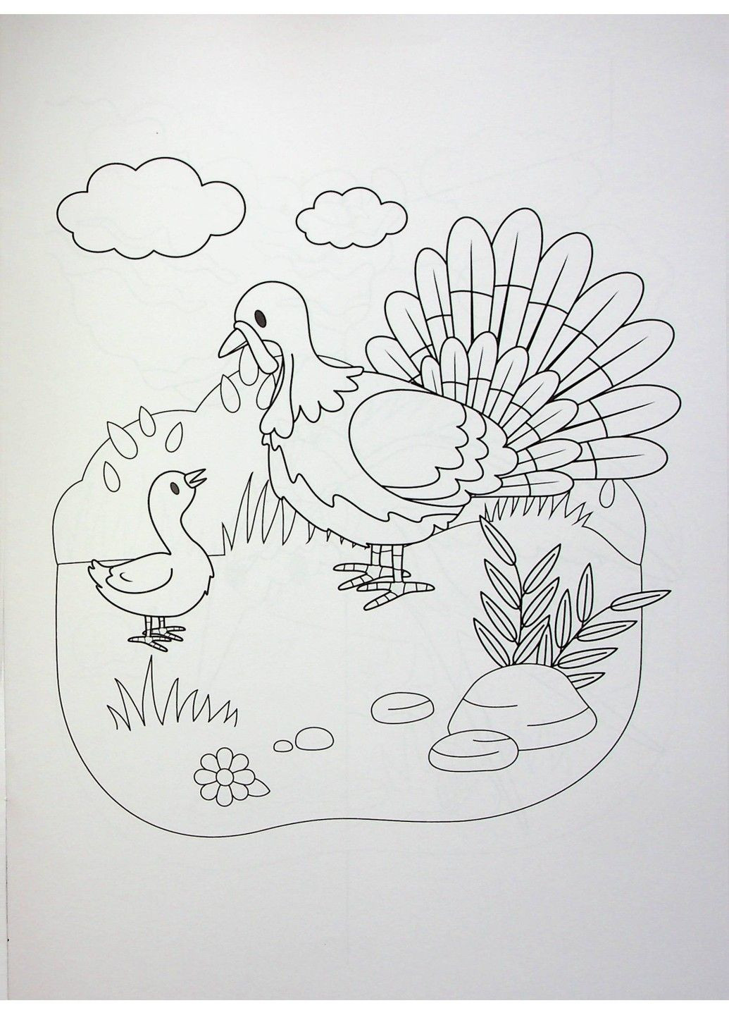 Чарівні фарби розмальовка На фермі Vivat (297514926)