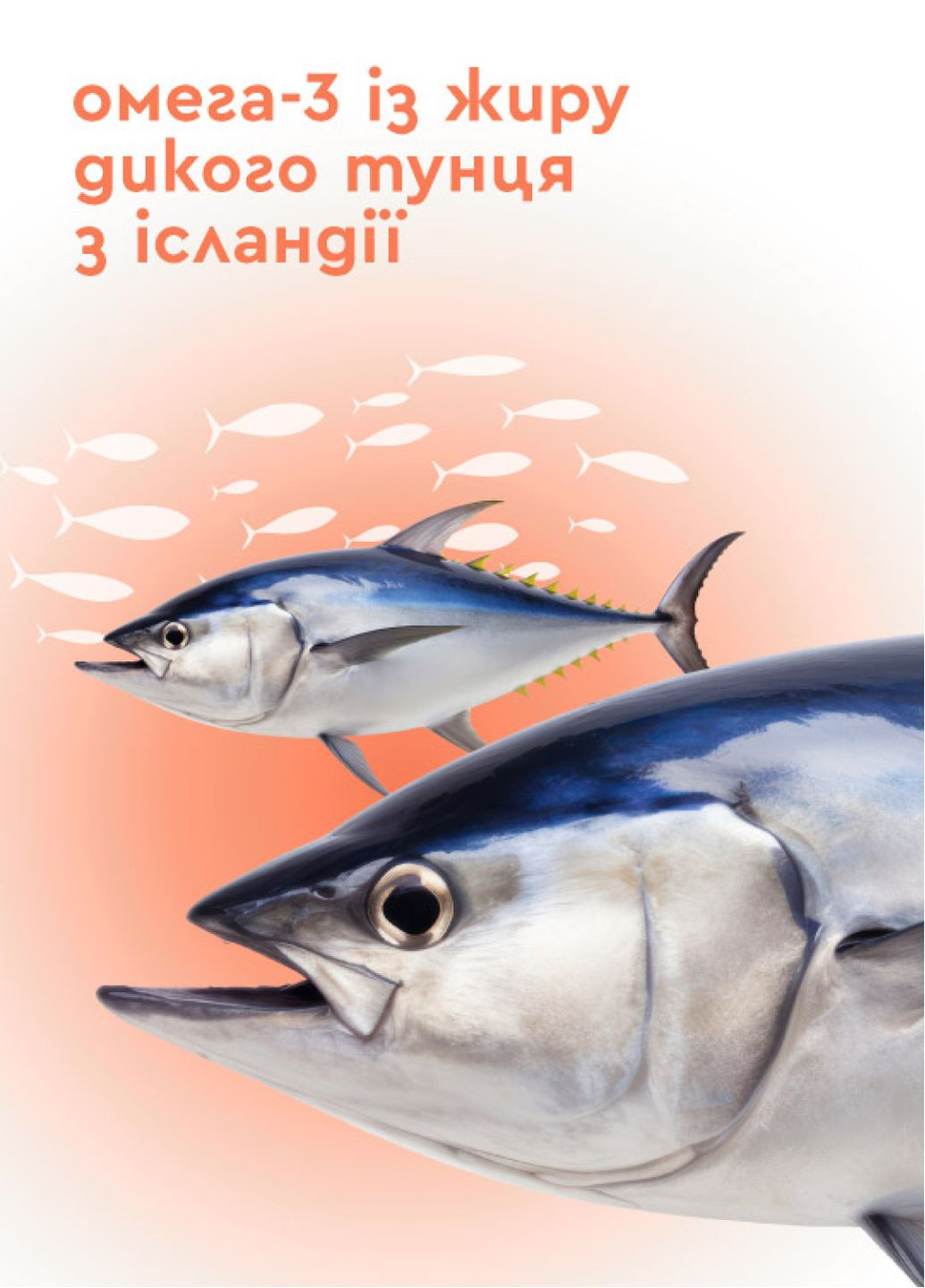 Omega complex + (омега 3, омега 6, омега 9) PRO HEALTHY 60 капсул CHOICE (334001107)