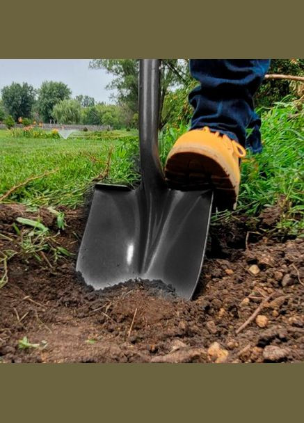 Лопатая американка WS-007 (133571) Werk (322415589)