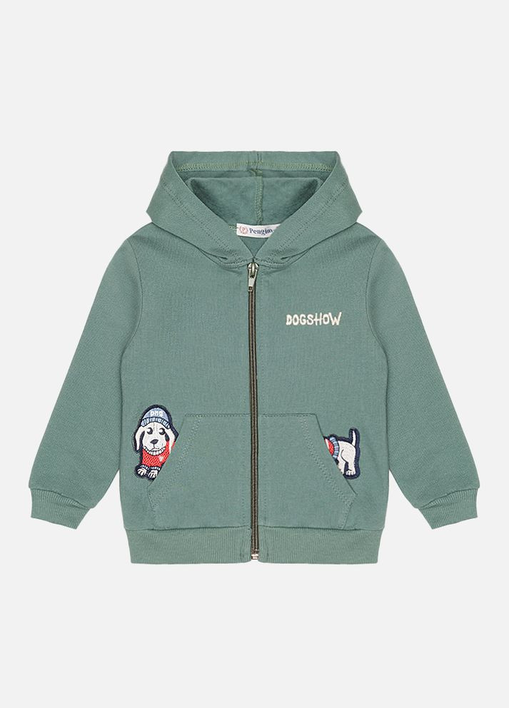 Толстовка для мальчика цвет зеленый CB-00225647 Pengim (316136625)