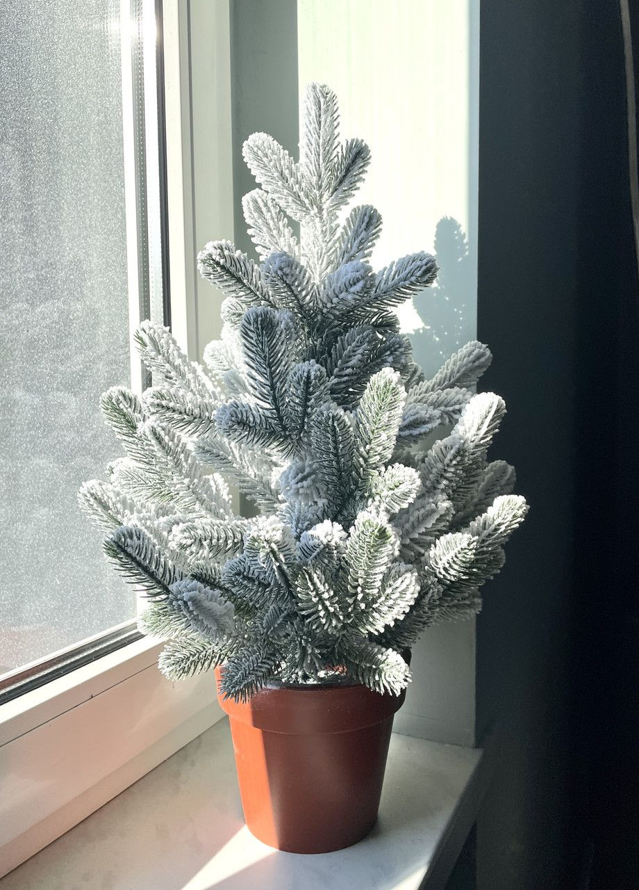 Ёлка SGH Traditional литая в горшке 50 см заснеженная новинка HVOYA (366963996)