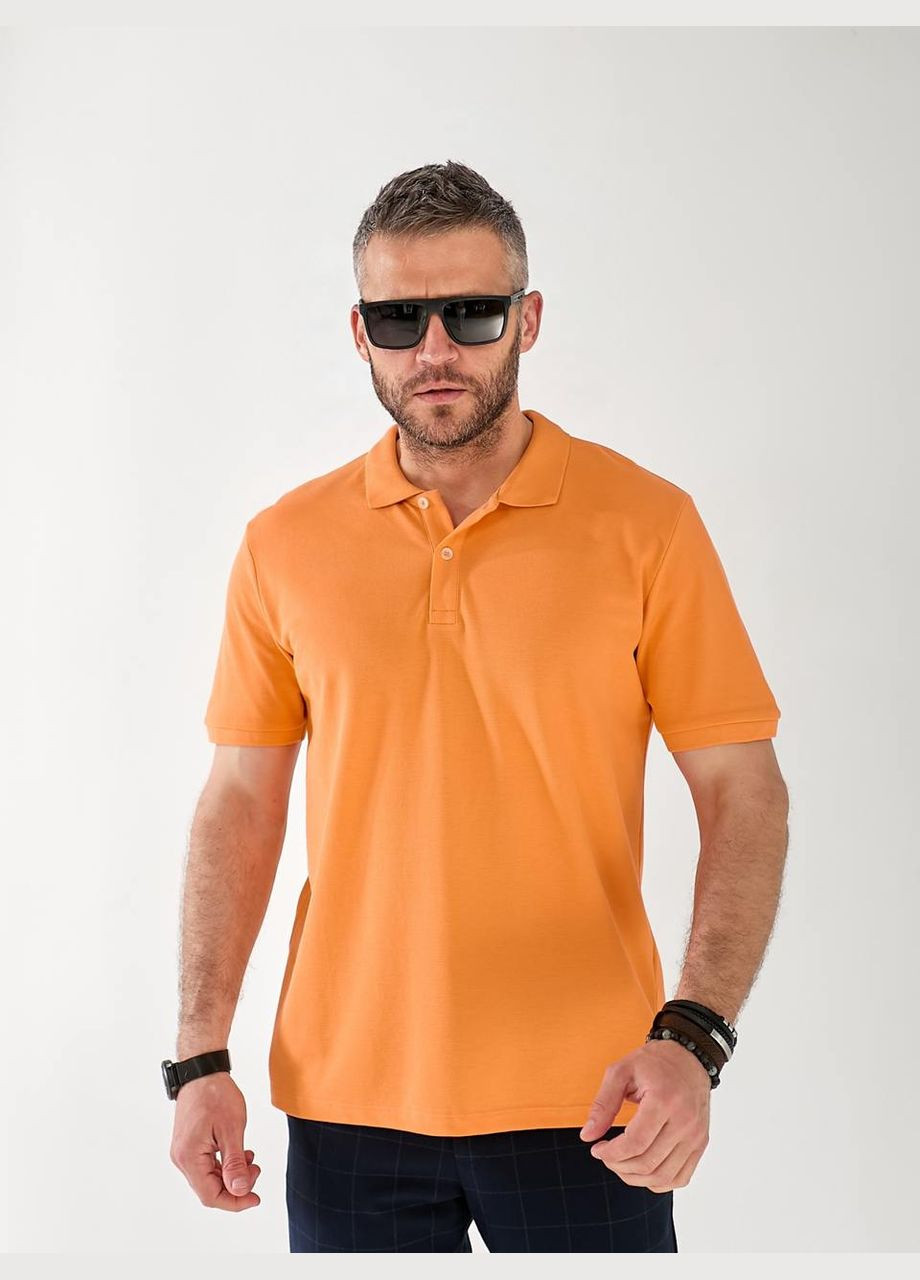 Чоловічі футболки з поло Fashion (337469005)