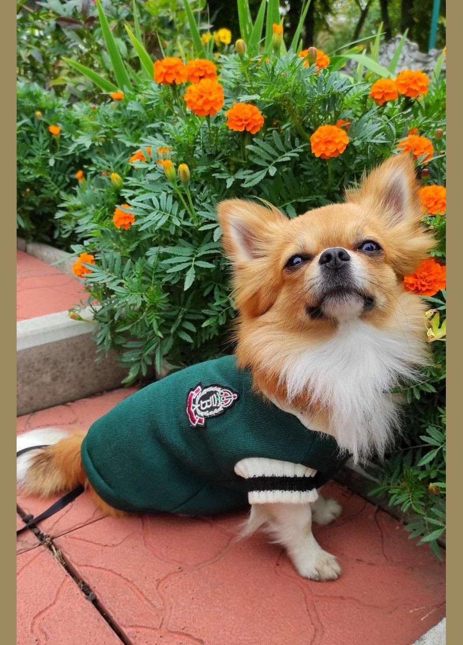 Класичний жилет для котів Pet Style "Vвирз" Зелений 2XL No Brand - (323232383)