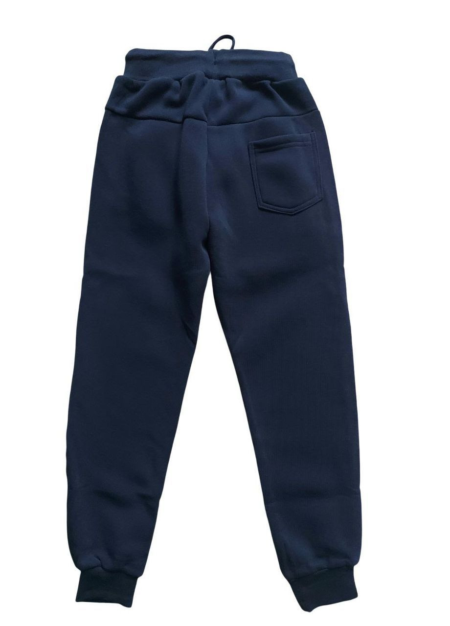 Синие спортивные зимние брюки S&D