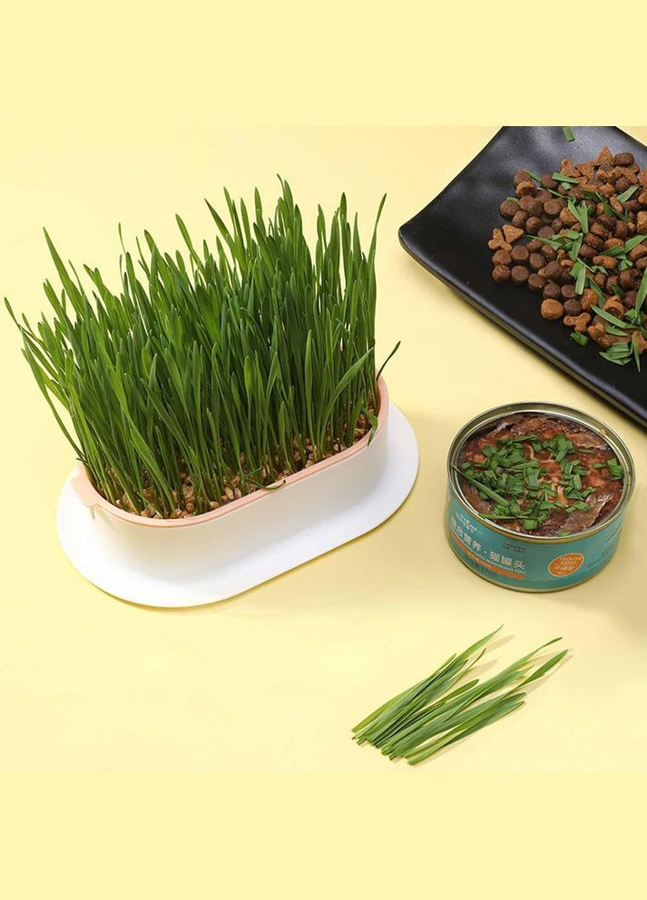 Лоток для гидропонного выращивания микрозелени и рассады сине-розовый (NR0135_2) No Brand (303898387)