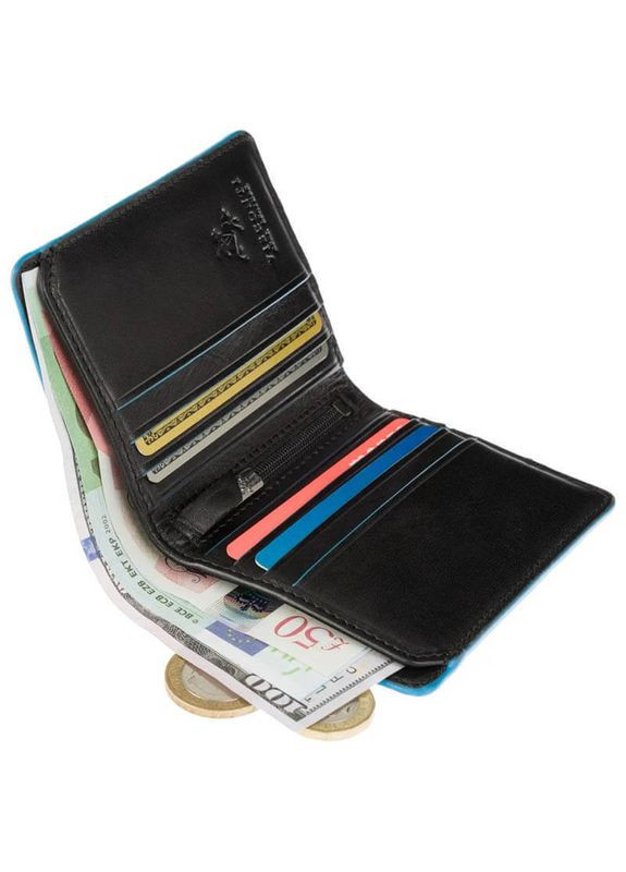 Кошелек мужской ALP92 Tignes Black (ALP92 BLK) Visconti (324265468)