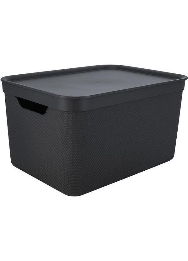 Контейнер для хранения вещей с крышкой Jive 16 л (10523) Rotho (334010176)