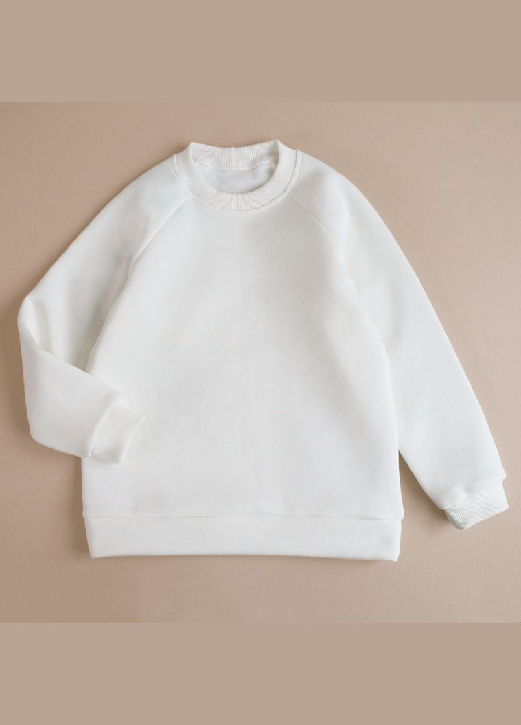 Теплий дитячий світшот базовий з начосом унісекс Ladan (301026302)