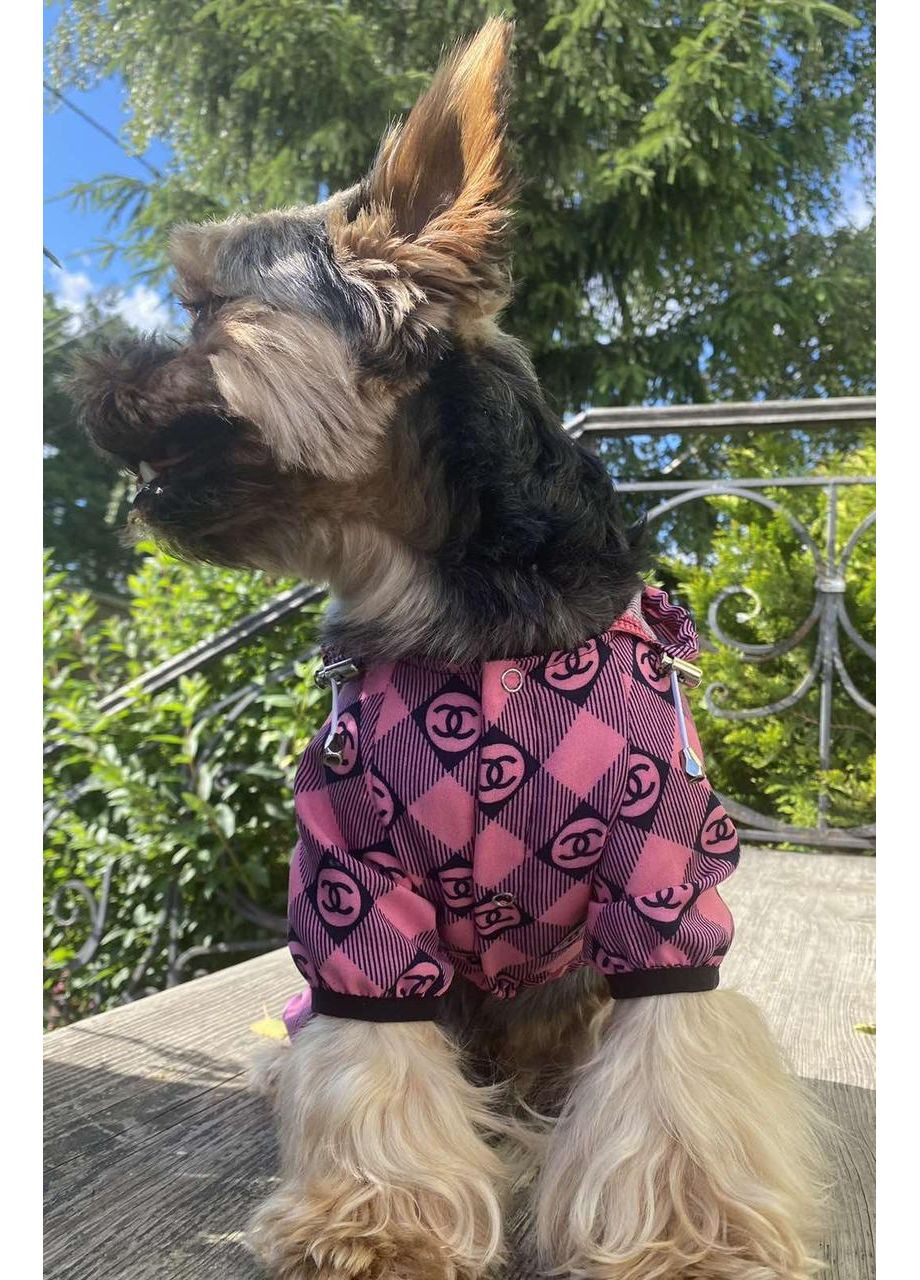 DOG STYLE • Летние комбинезоны для собак No Brand (358652246)