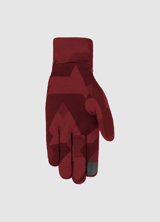 Рукавиці жіночі Cristallo AM Women Gloves Salewa (279848929)