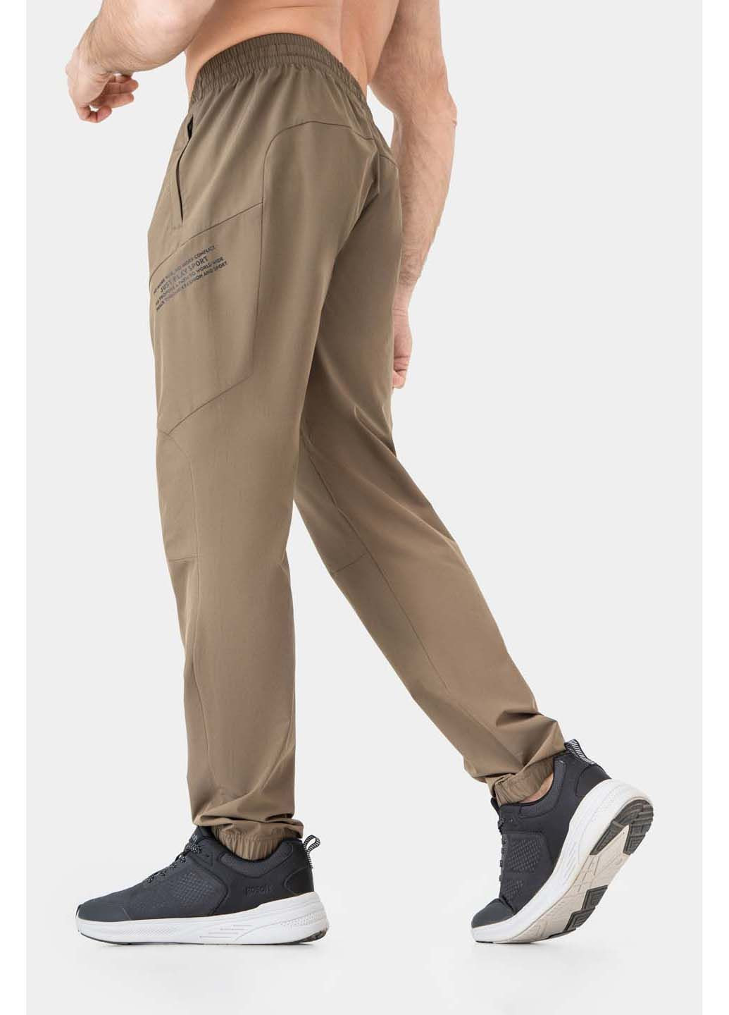 Штани чоловічі Avecs (301214666)