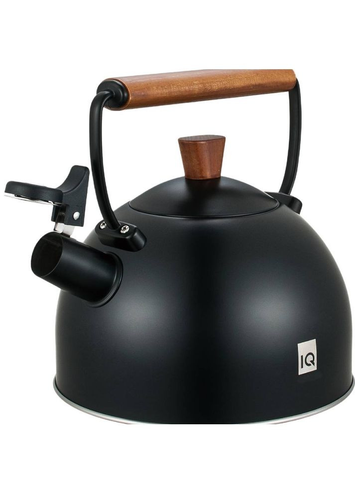 Чайник E Natural 2.5 л Black (-1003) IQ (336545622)