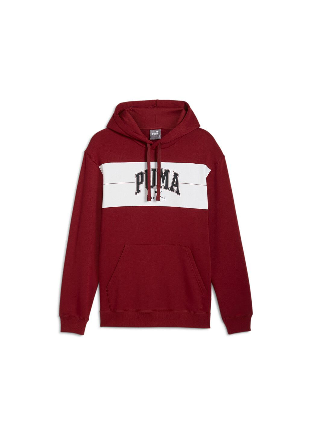 Худі SQUAD Hoodie Men Puma (300352921)