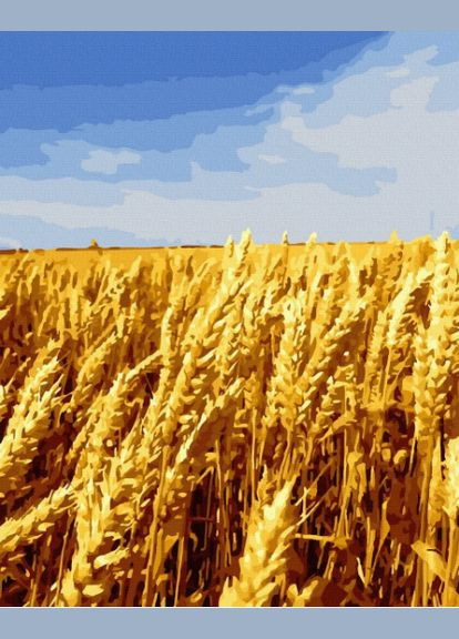 Картина за номерами пейзаж українські поля Запашна пшениця Картини у цифрах Літо Українські мотиви 40х50 Набір GX44804 Rainbow Art (308989212)