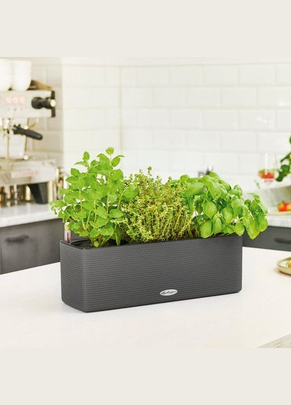 Розумний вазон Balconissima 40 7,5 л сірий 13684 Lechuza (316627708)