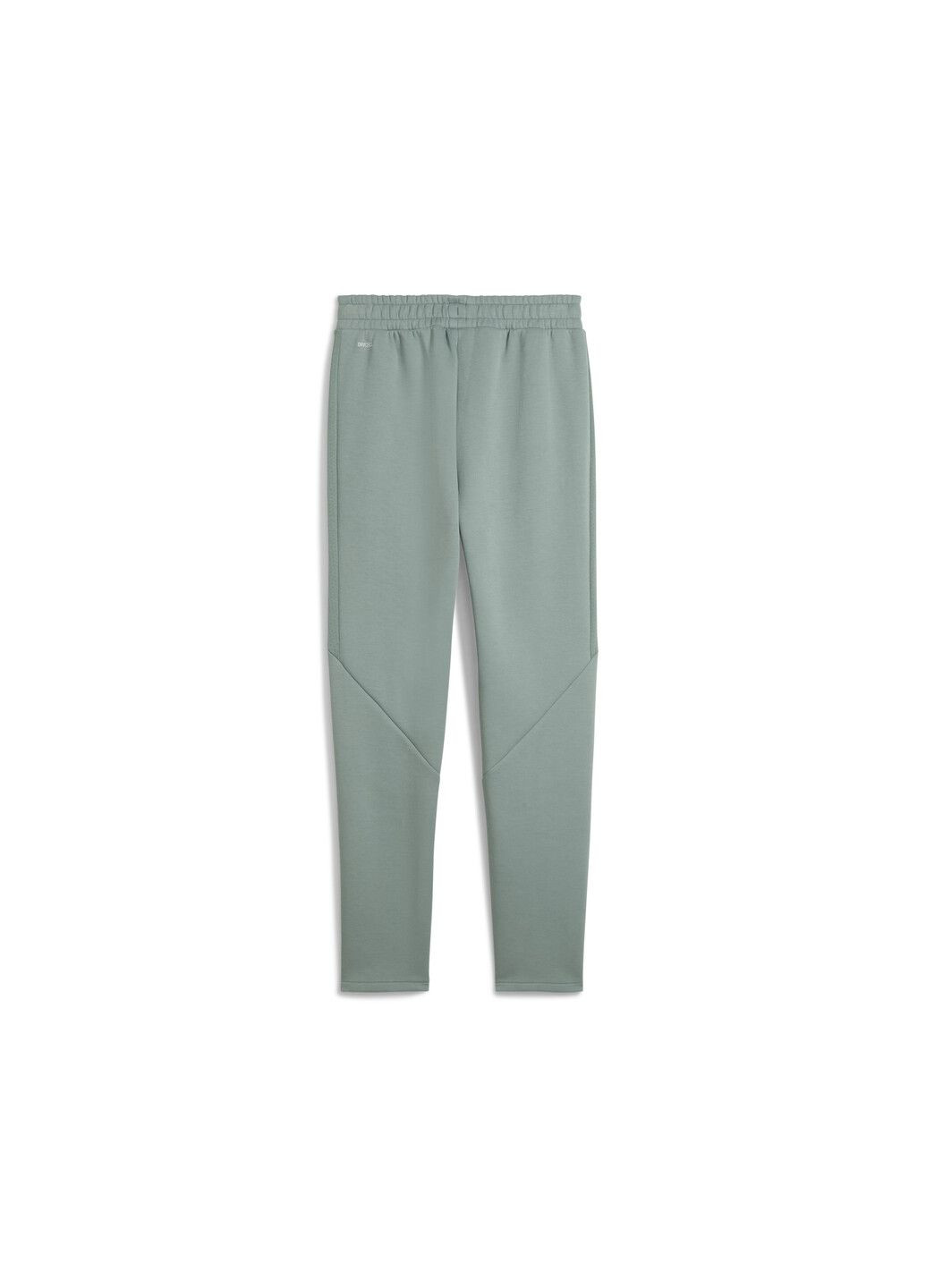 Штани EVOSTRIPE Sweatpants Women Puma (316713036)