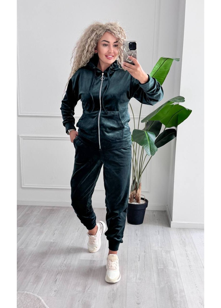 Спортивный костюм из велюра с капюшоном и змейкой. GD/GL Модний простір (360978718)