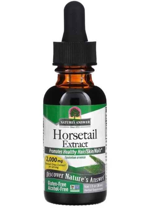 Horsetail Extract 2000 mg Alcohol-Free 30 ml /15 servings/ Nature's Answer (301006153)