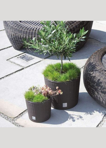 Вазон Rato Round 15,3 л коричневый Prosperplast (316625256)